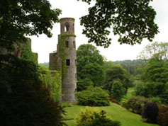 Blarney Castle, Ireland